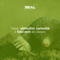 Talpe: abitudini, curiosità e falsi miti da sfatare
