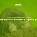 Come impedire nuovi arrivi: cosa fare dopo aver eliminato le talpe dal giardino