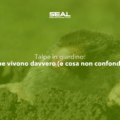 Come impedire nuovi arrivi: cosa fare dopo aver eliminato le talpe dal giardino