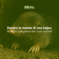 Dentro la mente di una talpa: la logica segreta dei suoi tunnel